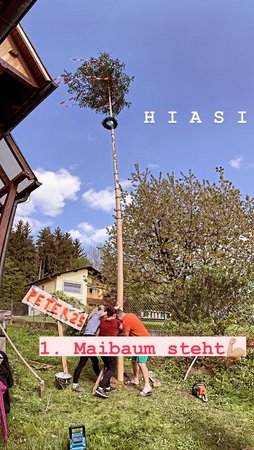 MAIBAUM AUFSTELLEN - Matthias Ederer