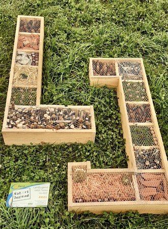 TatOrt Jugend Insektenhotel